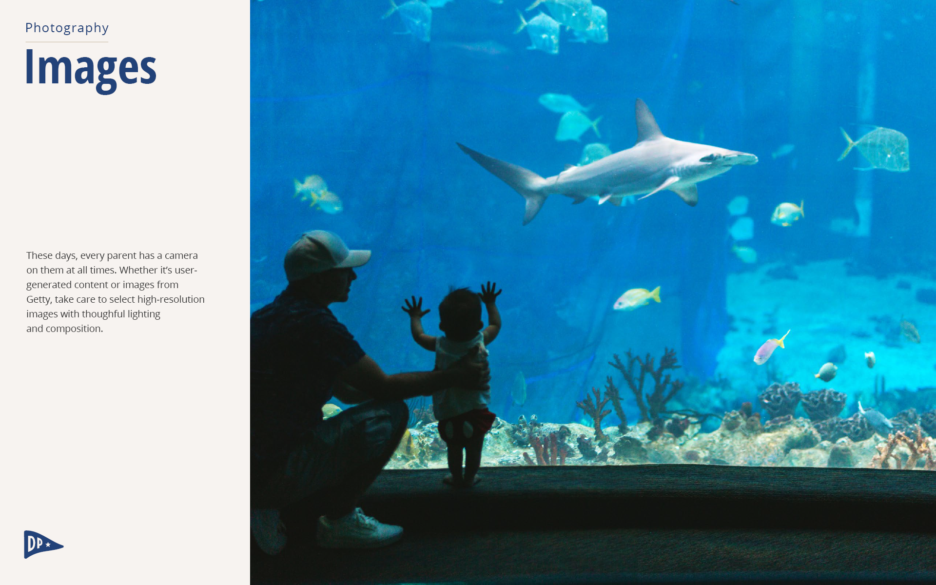 DP-Website-Branding-TS-Design-Portfolio-March-2022-12