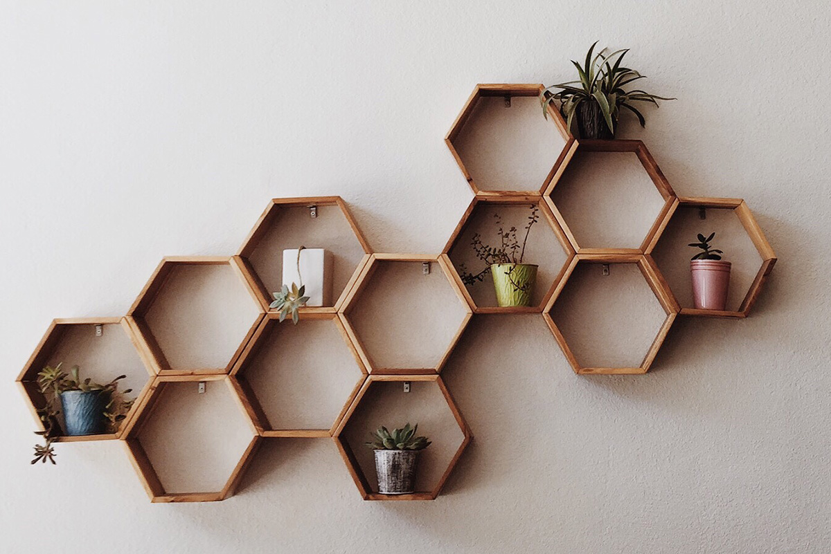 honeycomb-shelving-with-succulents_t20_rKGE9b